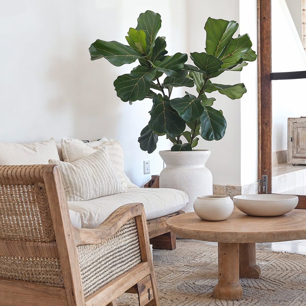 Home Elfin view 6 Elfin view